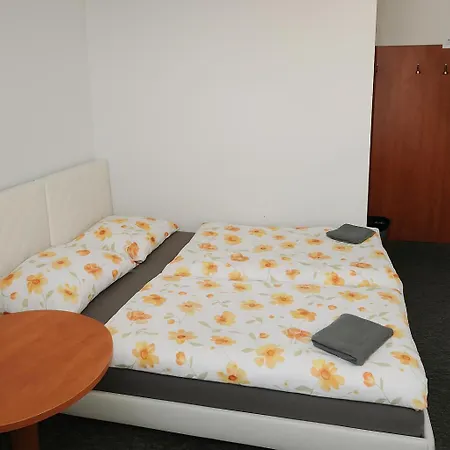 V Samem Centru Ostravy Pensionat *