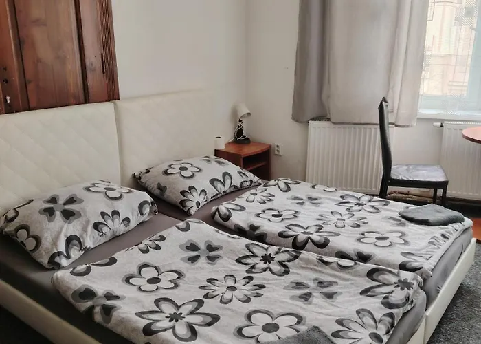 V Samem Centru Ostravy Pensionat Ostrava