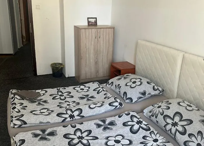 V Samem Centru Ostravy Pensionat Ostrava