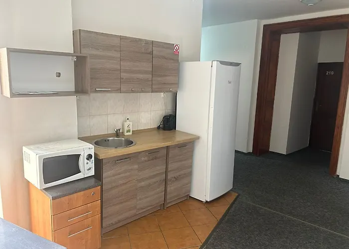 V Samem Centru Ostravy Pensionat Ostrava